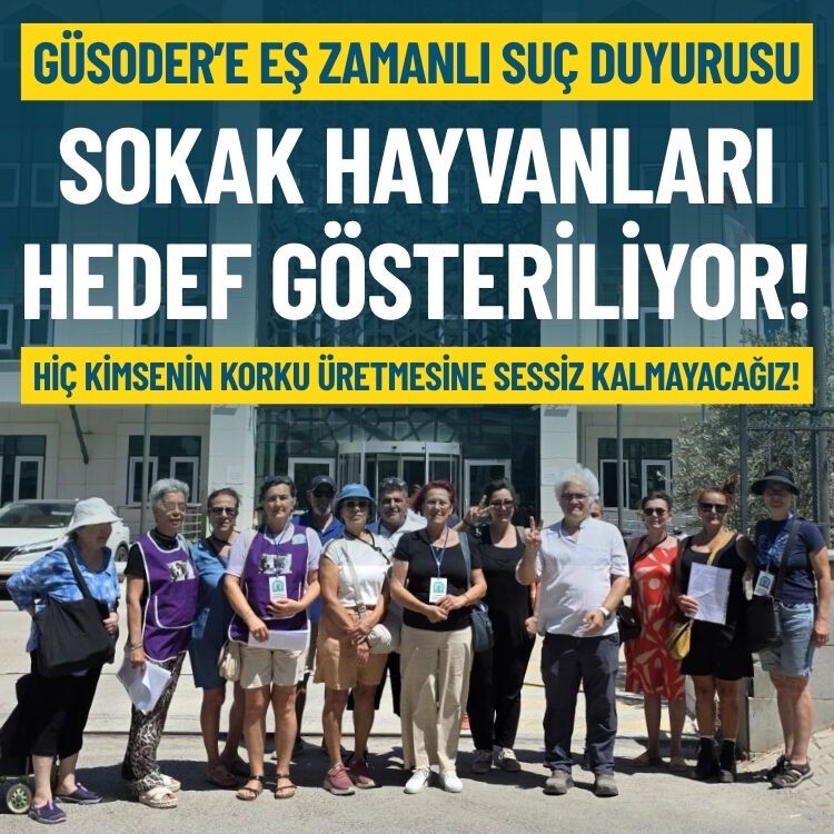 GÜSODER’e eş zamanlı suç duyurusu: Sokak hayvanları hedef gösteriliyor!