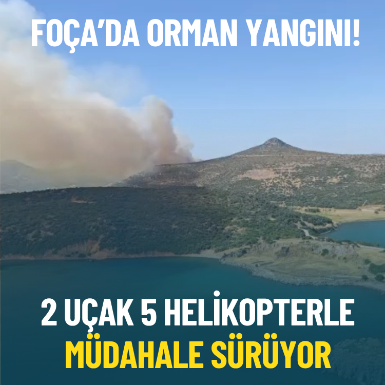 Foça’da orman yangını: 2 uçak 5 helikopterle müdahale sürüyor