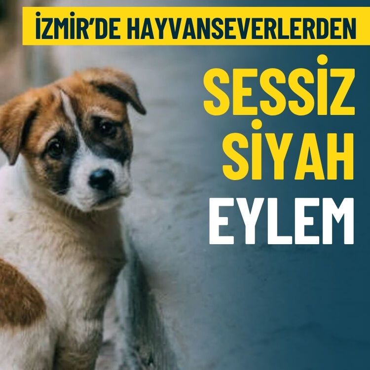 Hayvanseverlerden İzmir’de ‘sessiz ve siyah’ eylem