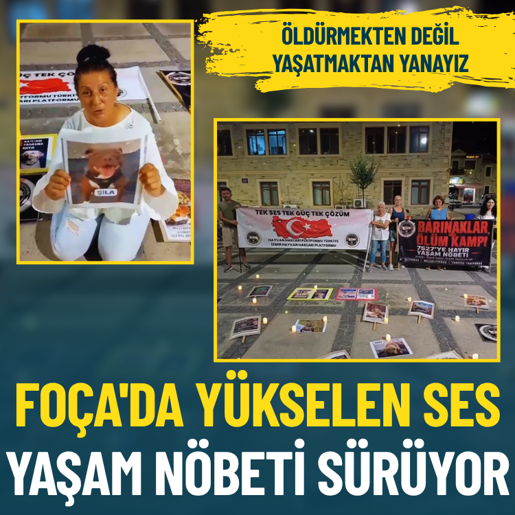 Foça’dan yükselen ses: Öldürmekten değil yaşatmaktan yanayız