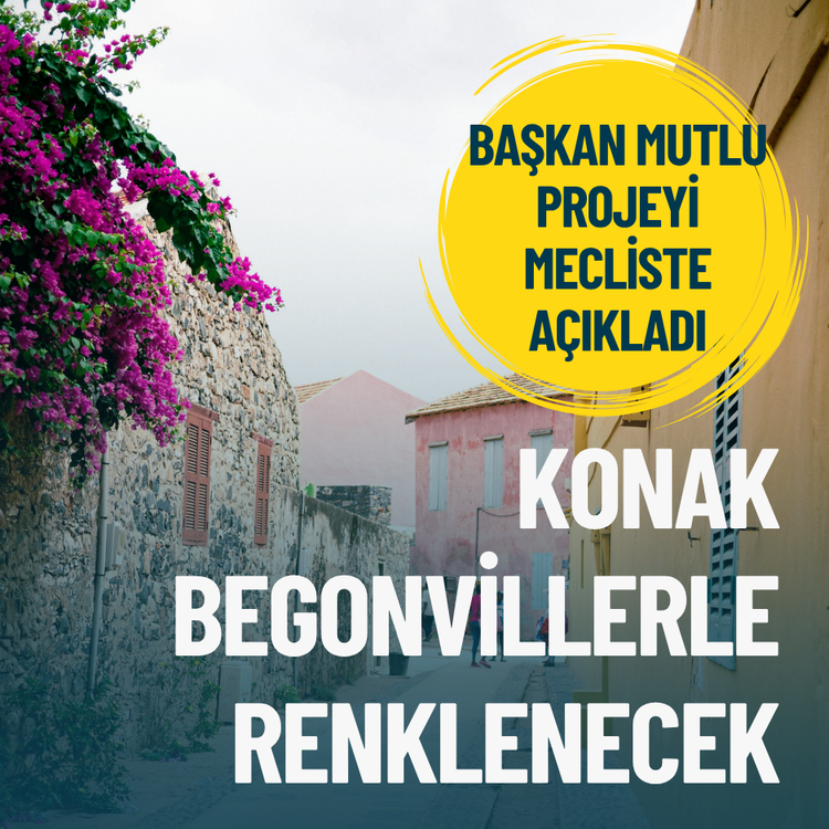 Konak begonvillerle renklenecek: Başkan Mutlu projeyi mecliste açıkladı