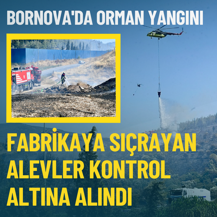 Bornova'da orman yangını: Fabrikaya sıçrayan alevler kontrol altına alındı