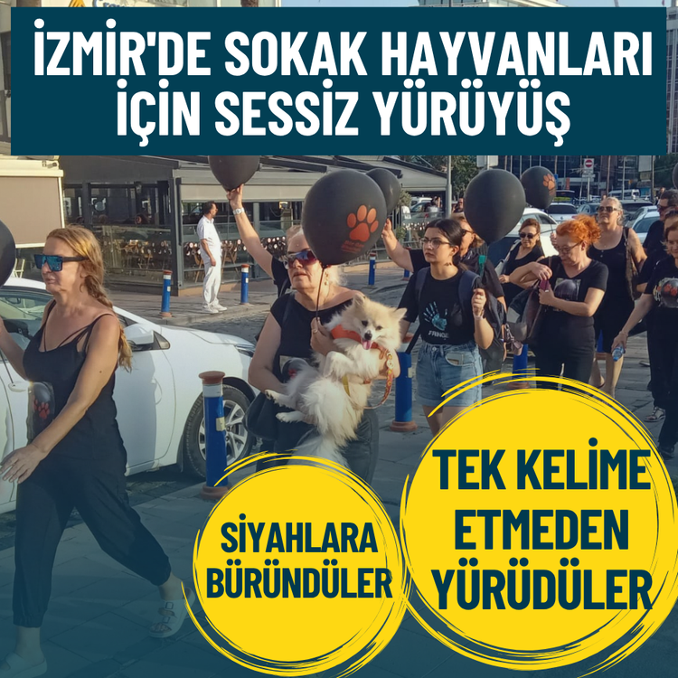 İzmir'de sokak hayvanları için sessiz yürüyüş: Siyahlara büründüler, tek kelime etmeden yürüdüler