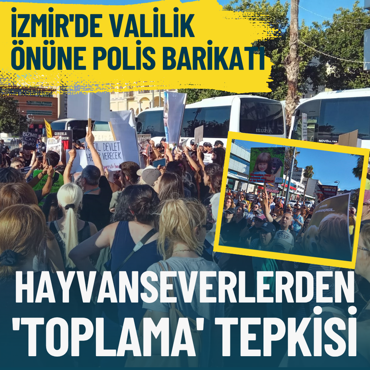 İzmir'de Valilik önüne polis barikatı: Hayvanseverlerden 'toplama' tepkisi