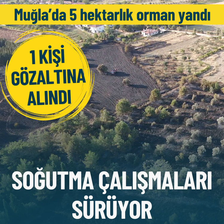 Muğla’da 5 hektarlık orman yandı: 1 kişi gözaltına alındı