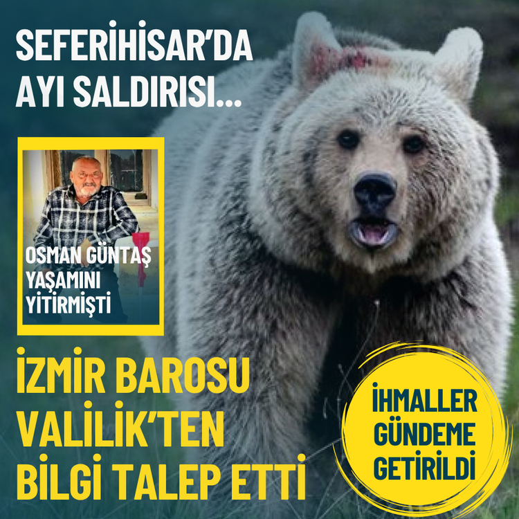 Seferihisar’da ayı saldırısı... İzmir Barosu Valilik’ten bilgi talep etti
