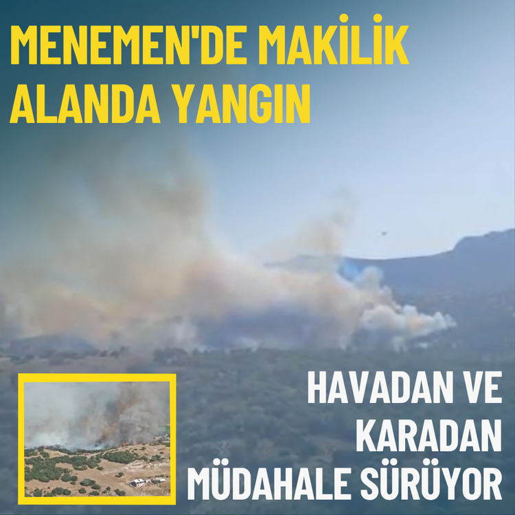 Menemen'de makilik alanda yangın: Havadan ve karadan müdahale sürüyor