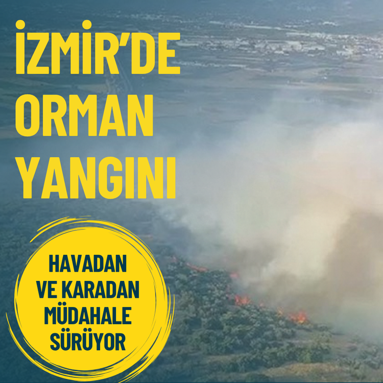İzmir'de orman yangını: Havadan ve karadan müdahale sürüyor