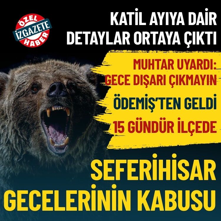 Katil ayıya dair detaylar çıktı: Seferihisar gecelerinin kabusu