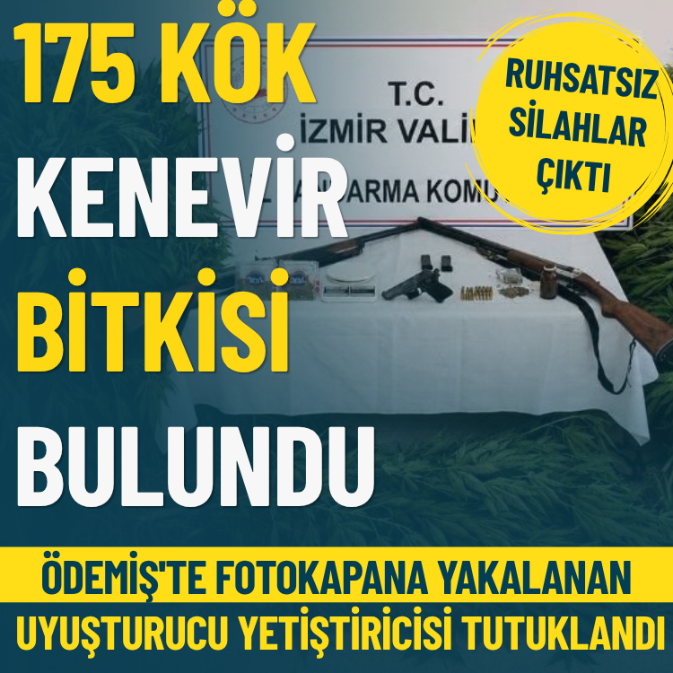 Ödemiş'te fotokapana yakalanan uyuşturucu yetiştiricisi tutuklandı