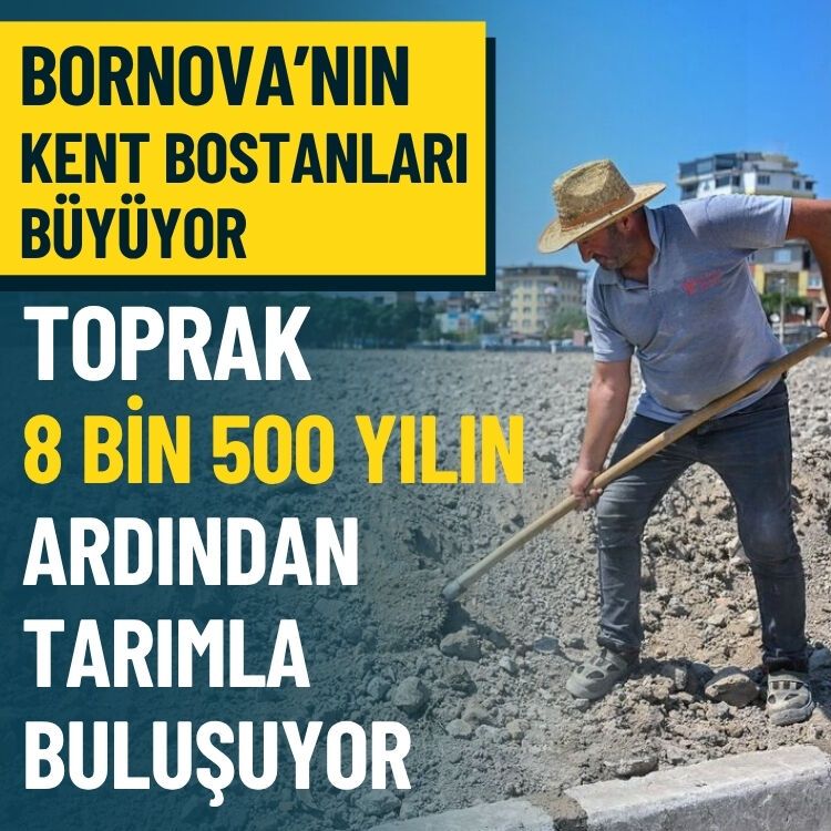Bornova’nın kent bostanları büyüyor… Toprak 8 bin 500 yıl sonra tarımla buluşuyor