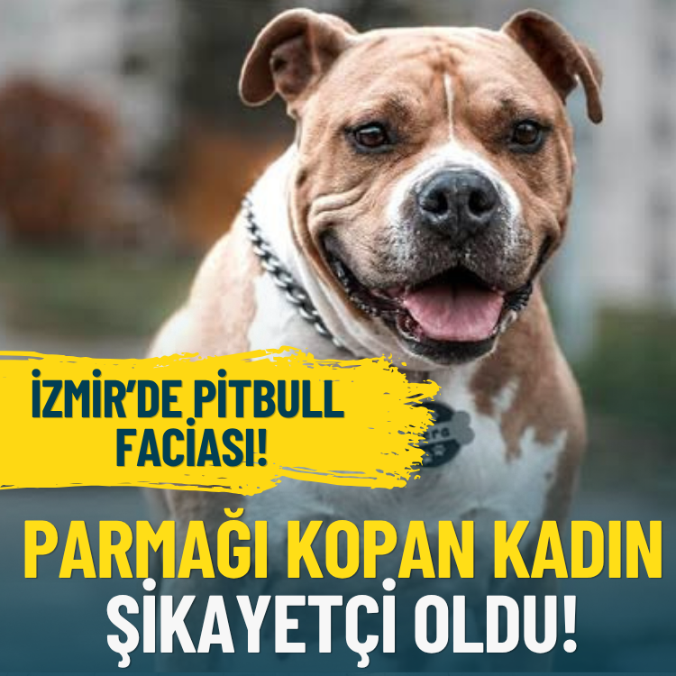 İzmir’de pitbull faciası: Parmağı kopan kadın şikayetçi oldu!