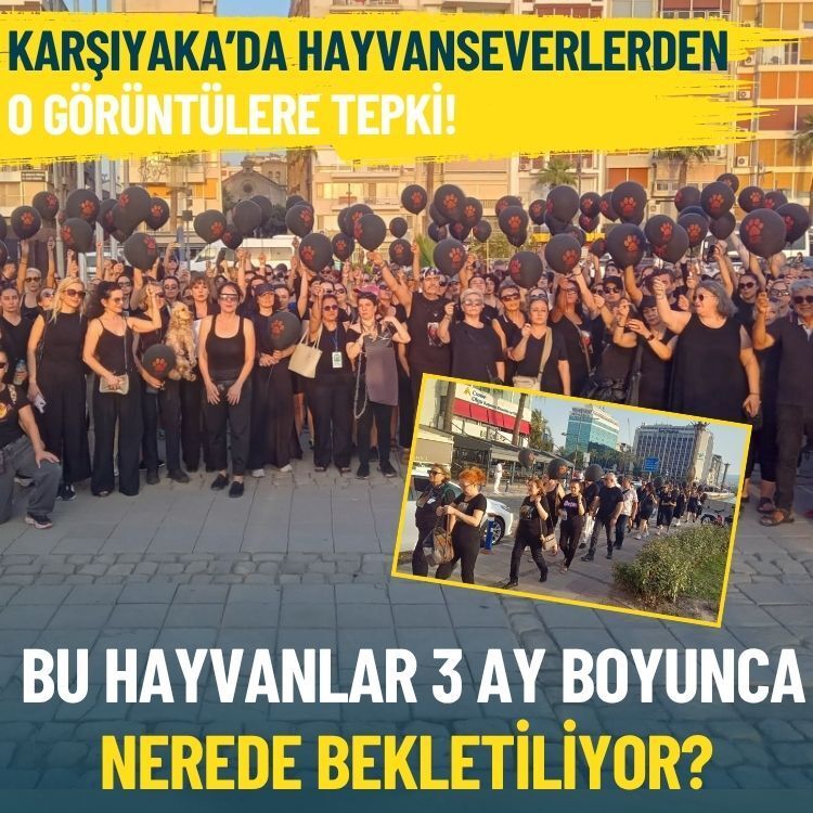 Karşıyaka’da hayvanseverlerden o görüntülere tepki: Bu hayvanlar 3 ay boyunca nerede bekletiliyor?