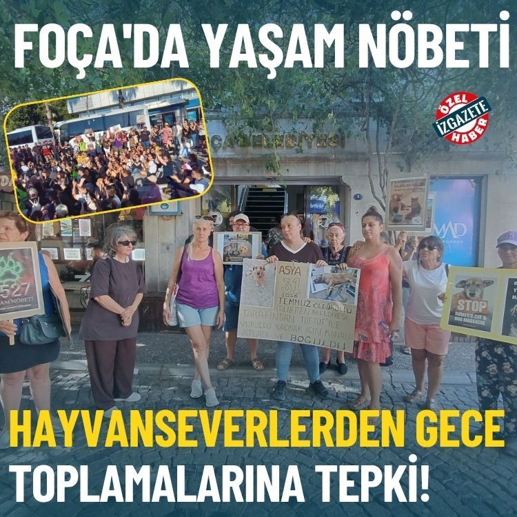 Foça'da yaşam nöbeti: Hayvanseverlerden gece toplamalarına tepki