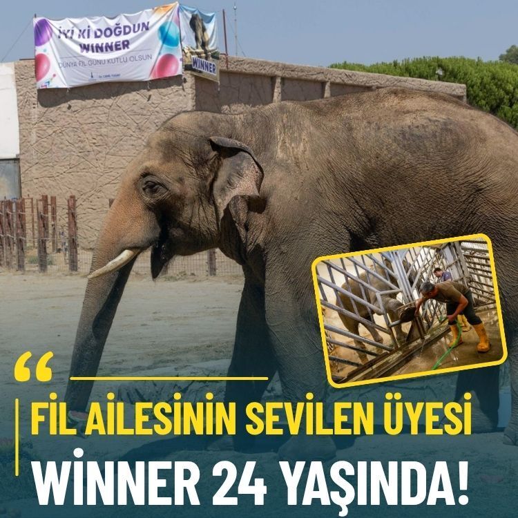 Fil ailesinin sevilen üyesi Winner 24 yaşında