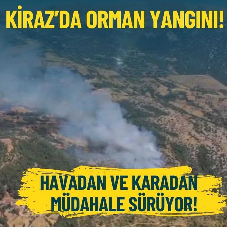 Kiraz’da orman yangını: Alevler kontrol altına alındı