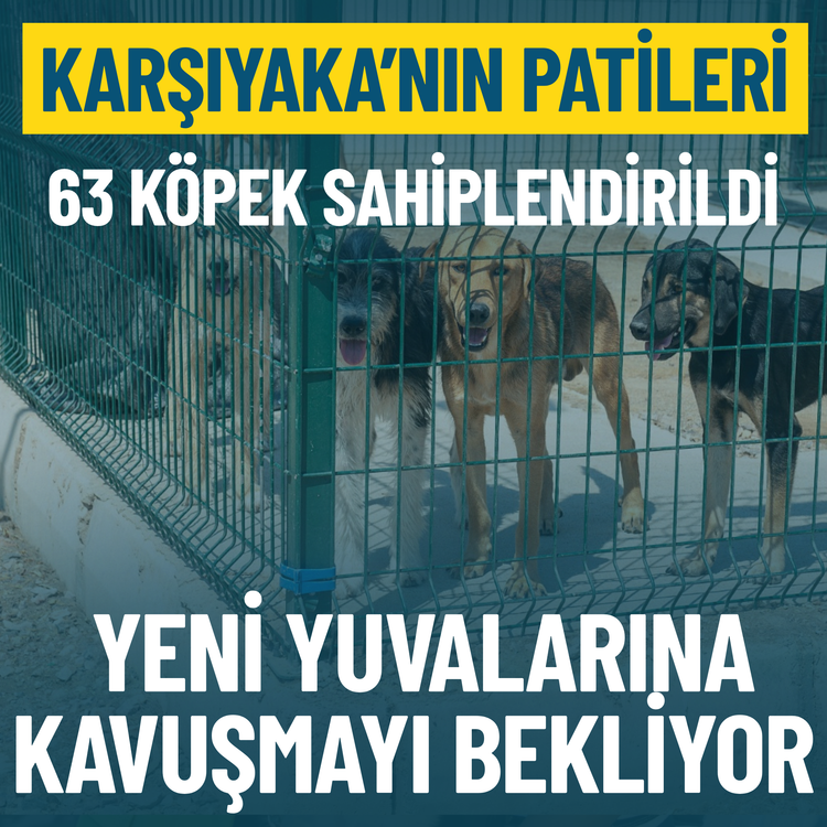 Karşıyaka’nın patileri, yeni yuvalarına kavuşmayı bekliyor