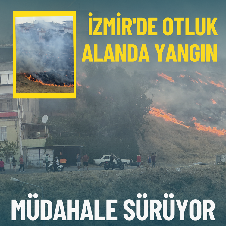İzmir'de otluk alanda yangın: Müdahale sürüyor