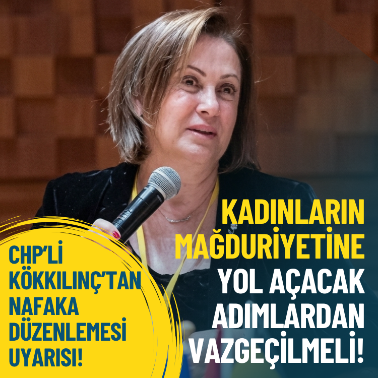 CHP’li Kökkılınç’tan nafaka düzenlemesi uyarısı!