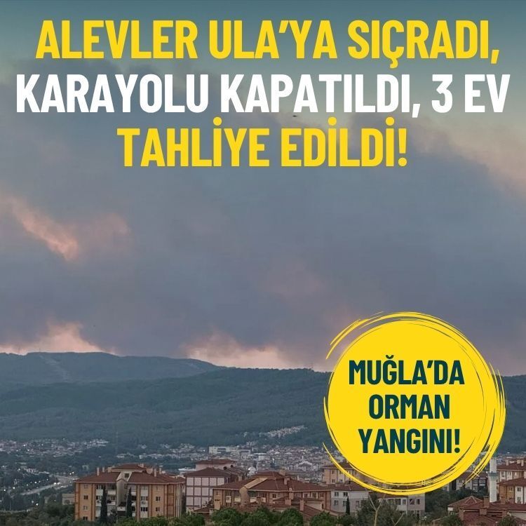 Muğla’da orman yangını: Alevler Ula’ya sıçradı, karayolu kapatıldı, 3 ev tahliye edildi