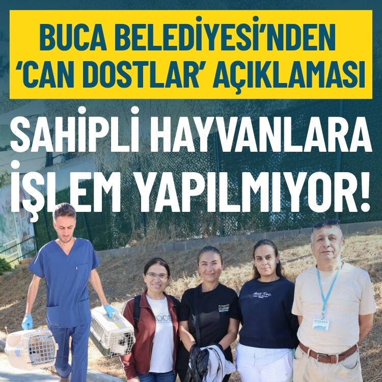 Buca Belediyesi’nden ‘can dostlar’ açıklaması: Sahipli hayvanlara işlem yapılmıyor!