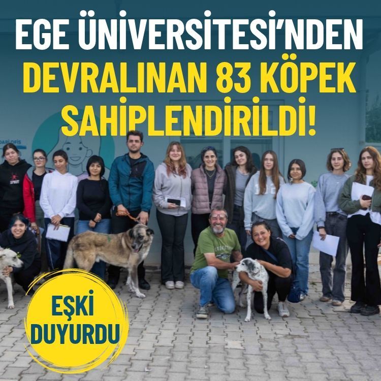 Eşki duyurdu: Ege Üniversitesi’nden devralınan 83 köpek sahiplendirildi