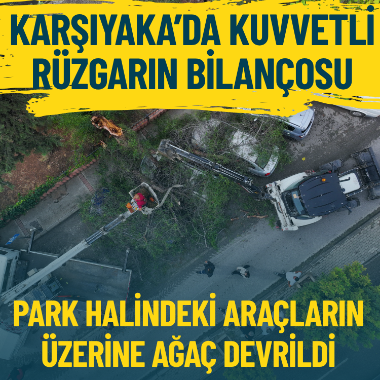 Karşıyaka'da kuvvetli rüzgarın bilançosu... Park halindeki araçların üzerine ağaç devrildi