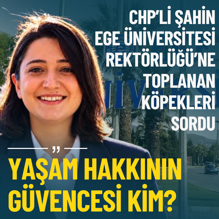 CHP’li Şahin Ege Üniversitesi Rektörlüğü’ne toplanan köpekleri sordu: Yaşam hakkının güvencesi kim?