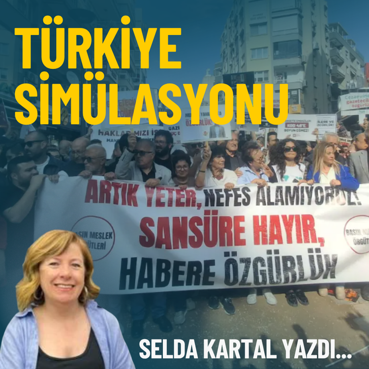Türkiye simülasyonu