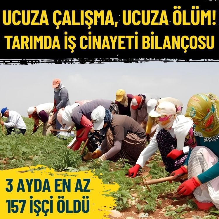 Ucuza çalışma, ucuza ölüm! Tarımda iş cinayeti bilançosu: 3 ayda en az 157 işçi öldü