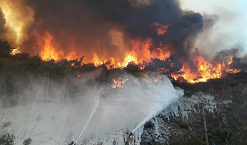 Orman yangınları hakkında 9 yanlış bilgi