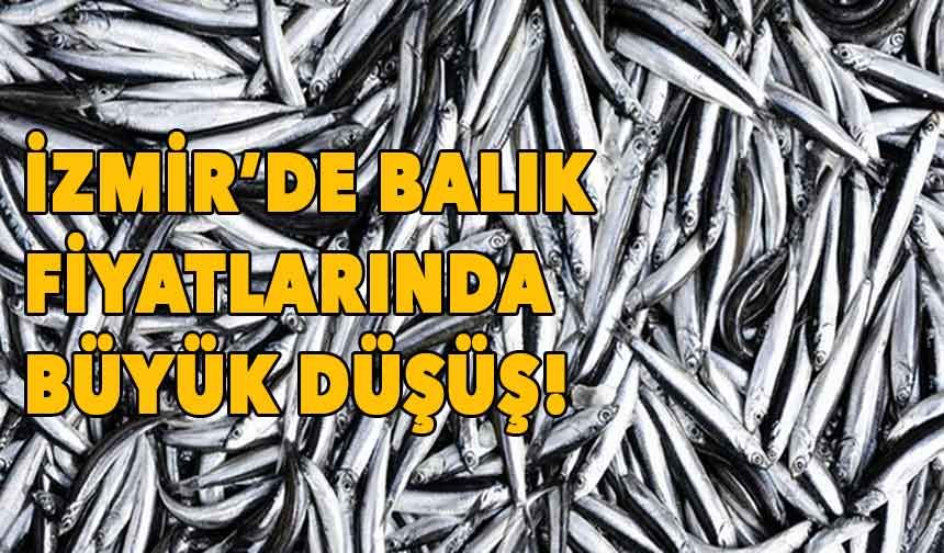 İzmir'de balık fiyatlarında büyük düşüş!