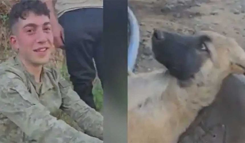 Türk askerinin ayağında köpeği salladığı görüntüler viral oldu