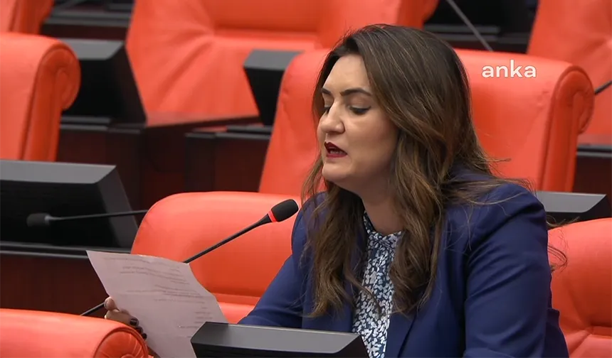 CHP İzmir Milletvekili Kılıç: Anayasa'ya aykırı koltukta Anayasa yazılmaz