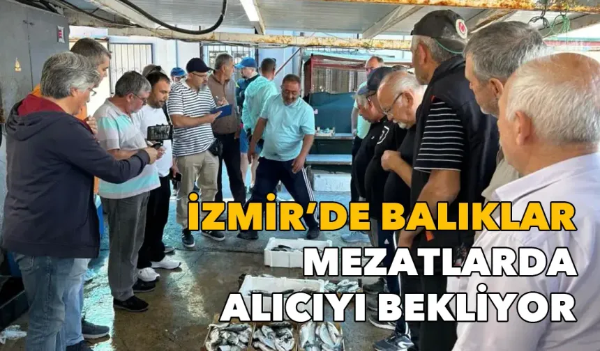 Av sezonu sona erdi: İzmir'de balıklar mezatlarda alıcıyı bekliyor
