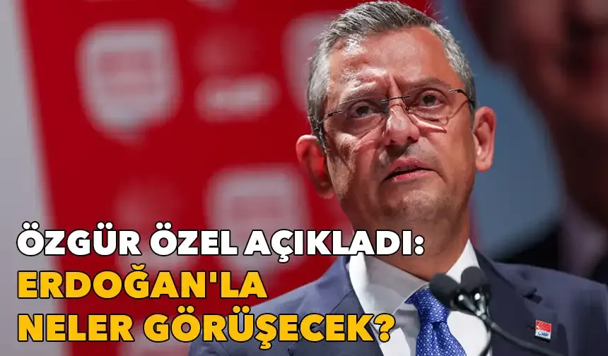Özgür Özel açıkladı: Erdoğan'la neler görüşecek?