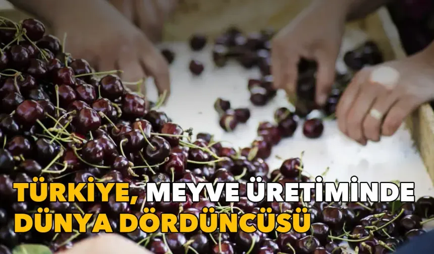 25 milyon tonluk üretim hacmi: Türkiye meyve üretiminde dünya dördüncüsü