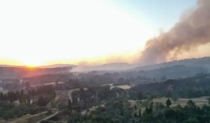 Yüzlerce hektarlık alan zarar gördü: Çanakkale'deki orman yangını kontrol altına alındı