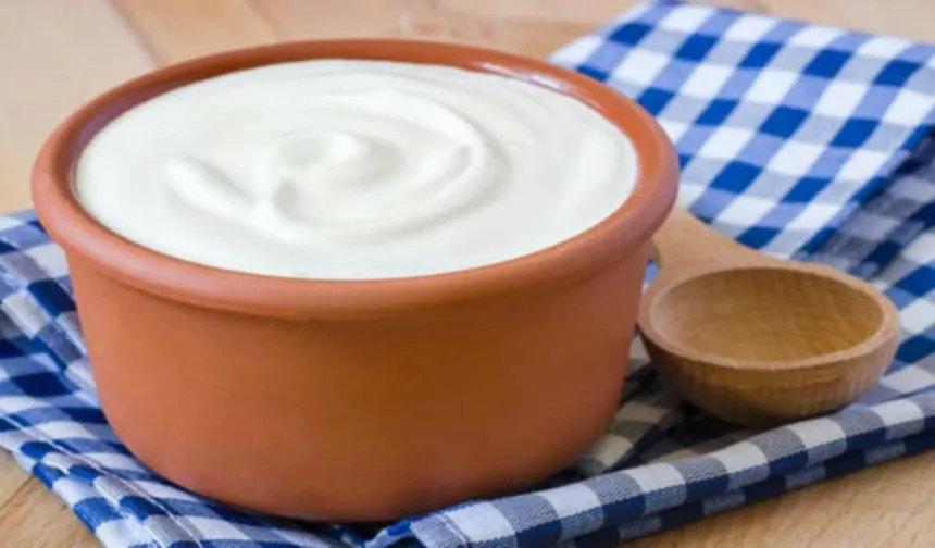 Yoğurdunuz taş gibi olacak: Püf noktaları ile yoğurt nasıl mayalanır?
