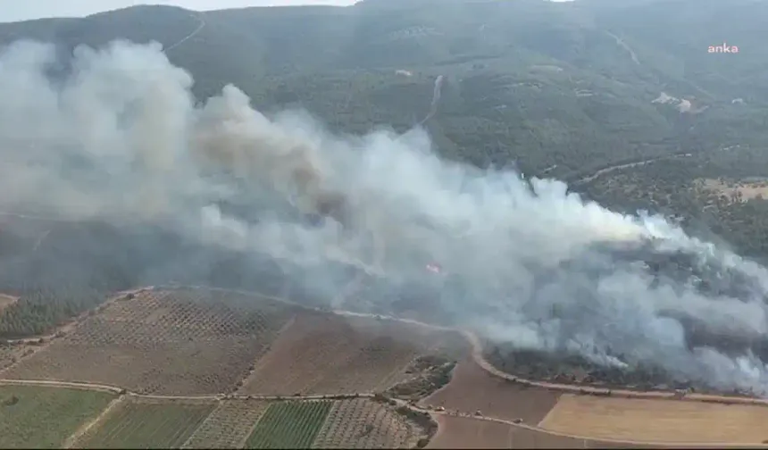 Manisa Gölmarmara'da orman yangını