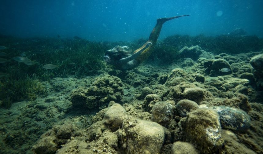 İzmir'in deniz kızları: Su altındaki güzellikleri keşfediyorlar