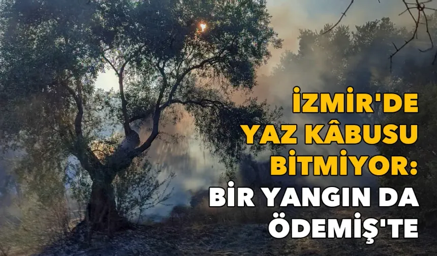 İzmir'de yaz kâbusu bitmiyor: Bir yangın da Ödemiş'te