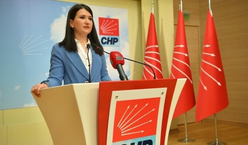 CHP'li Gökçen: Ahmet Özer'in komisyonda dinlenmesi önemli katkı sağlar