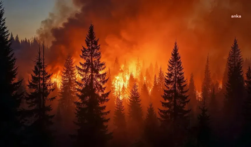 Los Angeles’ta orman yangını: Olağanüstü hal ilan edildi