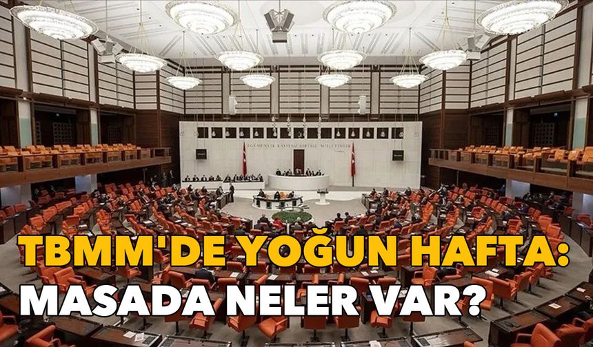 TBMM'de yoğun hafta: Kanun teklifi görüşmeleri ve komisyon sunumları