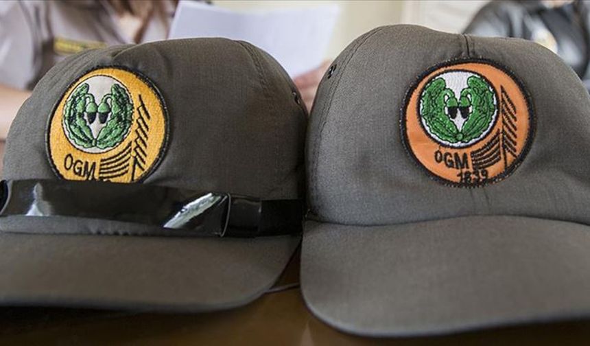 Bakan Yumaklı açıkladı: Orman Genel Müdürlüğü'ne 496 personel alınacak