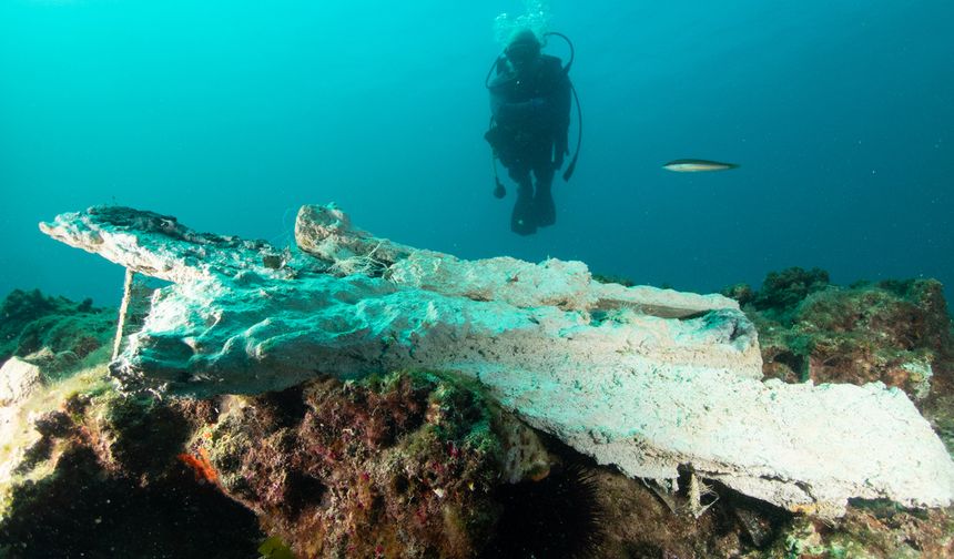 Sığacık Körfezi'nde yenilikçi proje: Midye kabuklarından yapay resif