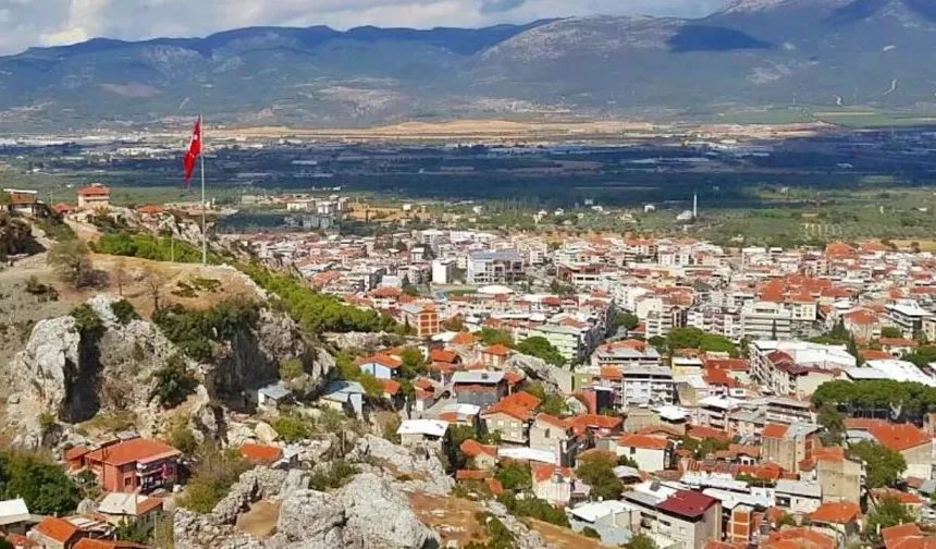 Kemalpaşa'da icradan satılık tarım arazisi