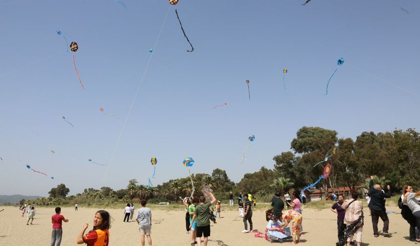 İzmir'de uçurtmalar engelsiz gökyüzü için yükseldi