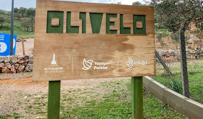 İzmirlilerin doğayla buluşma noktası: Olivelo Yaşayan Park'ına nasıl gidilir?